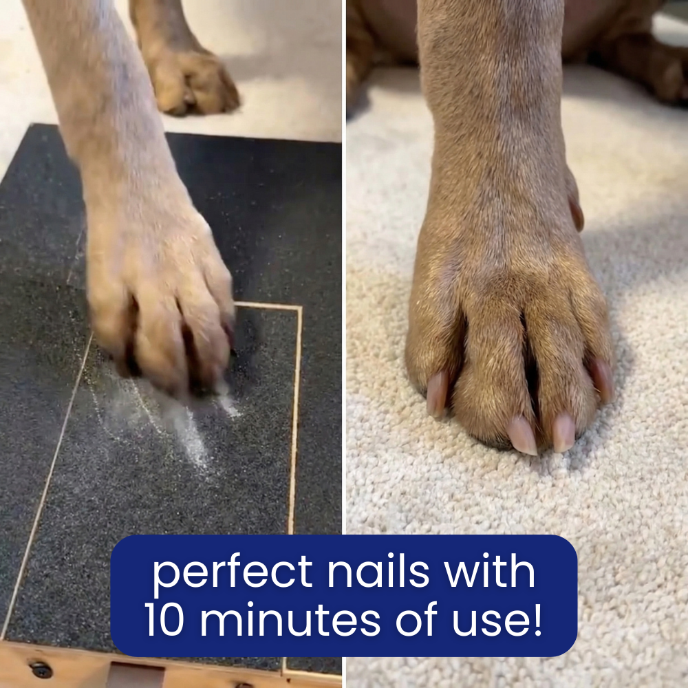 The PawPad™ – Nail Grooming Board