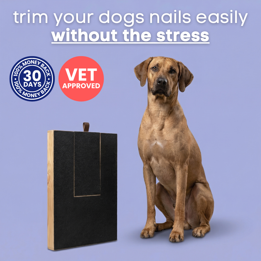 The PawPad™ – Nail Grooming Board